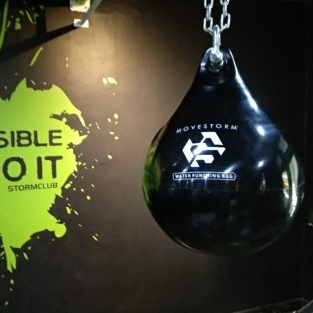 Movestorm Water Punching Bag aqua heavy bag for boxing and MMA training