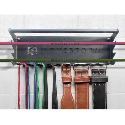 Movestorm Hanger 2.0 gym storage barbell band ball hanger