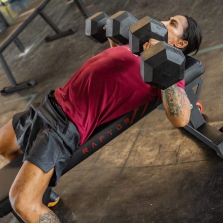 gallery 4 movestorm raptor flat bench