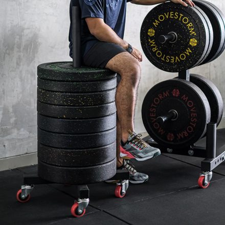 vertical bumper plates storage rack with wheels