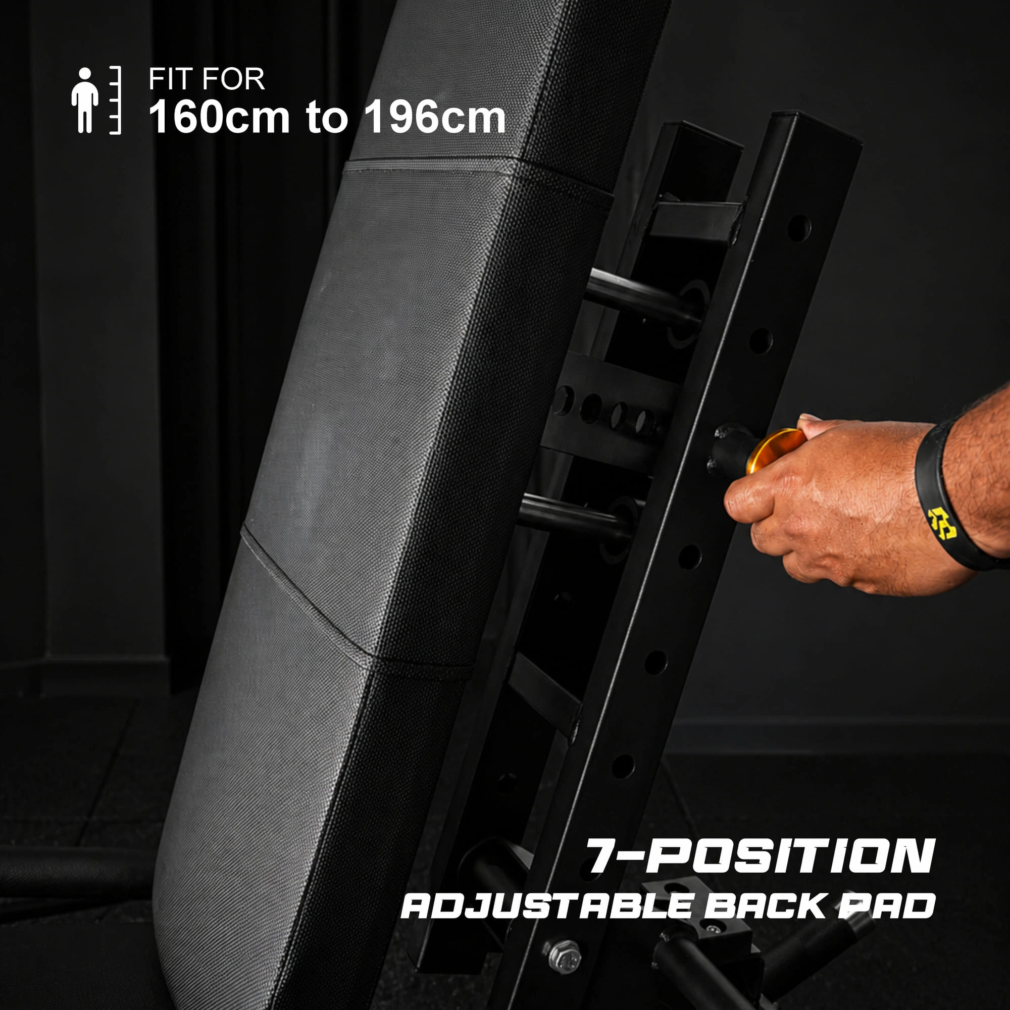 LEG EXTENSION AND PRONE LEG CURL PL MACHINE D.jpg (1)